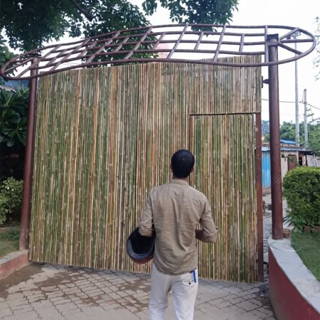 Bamboo Partition
