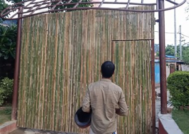 Bamboo Partition